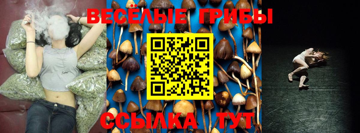 Псилоцибиновые грибы Cubensis Батайск
