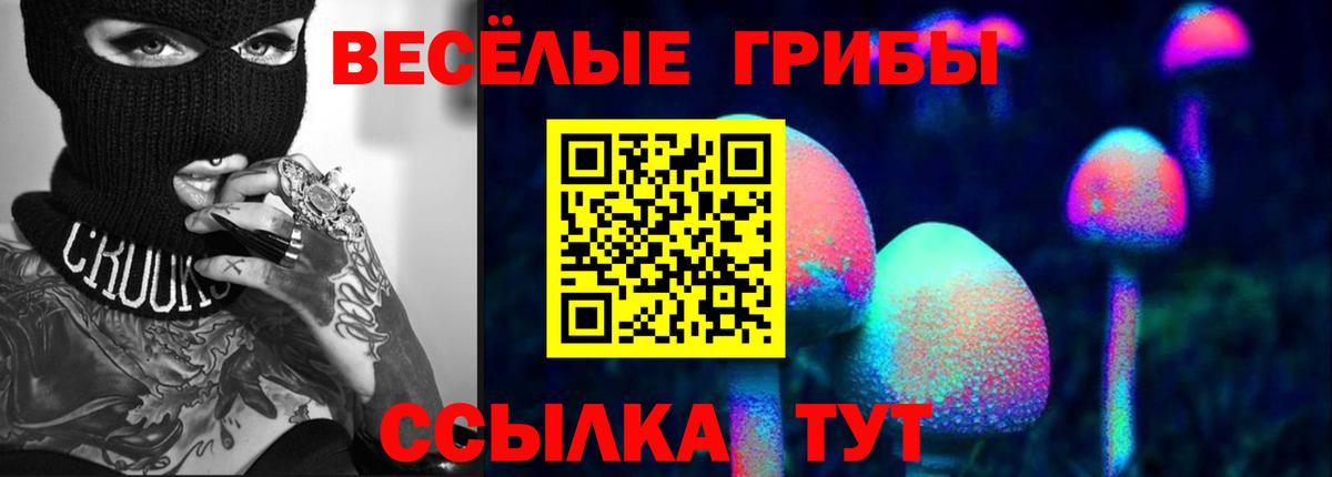 сколько стоит  Псилоцибиновые грибы ЛСД  Вход с VPN  Батайск  Галлюциногенные грибы MAGIC MUSHROOMS 